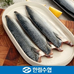 한림수협 [제주 한림수협] 제주직송 제주 순살 고등어 20팩(1팩당 120g) / 냉동