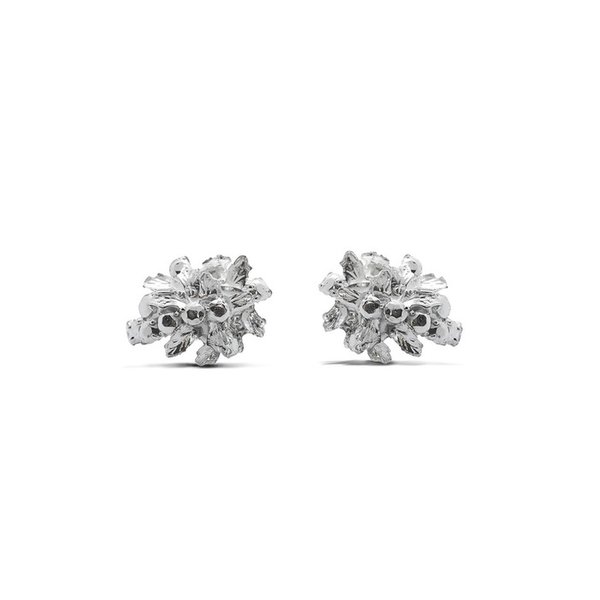 The winter garden photography earrings (silver)