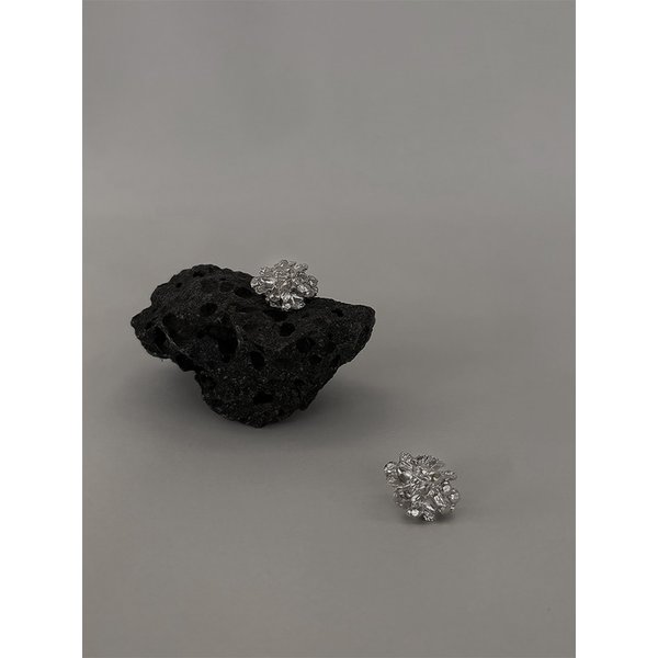 The winter garden photography earrings (silver)