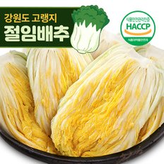 24년 김장준비! 괴산/강원도절임배추/알타리/마늘/젓갈