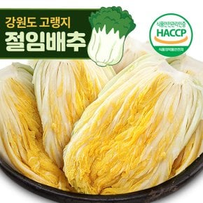 24년 김장준비! 괴산/강원도절임배추/알타리/마늘/젓갈