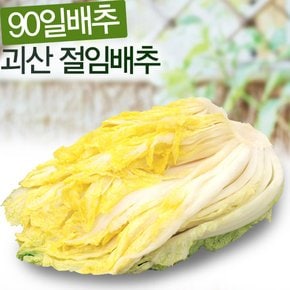 24년 김장준비! 괴산/강원도절임배추/알타리/마늘/젓갈