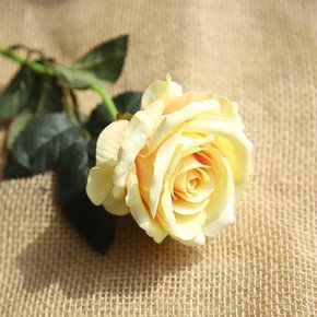 [월데코] 로즈가든 벨벳 장미 조화(옐로우)
