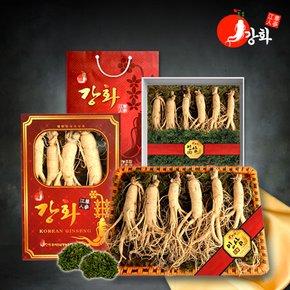 [바구니선물포장] 5년근 수삼 1채 750g (4~5뿌리)