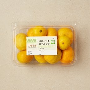 저탄소인증 하우스감귤 1kg/팩