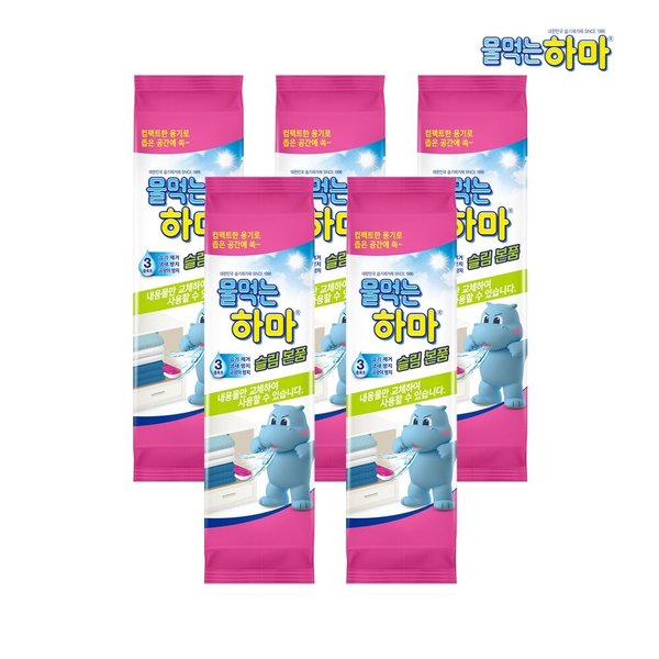 확대된 대표 이미지 P