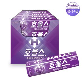 호올스 스틱 27.9g 20개(블루베리)