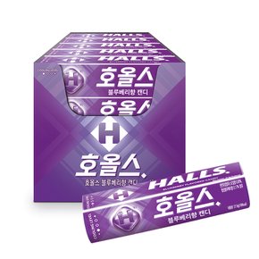 호올스 스틱 27.9g 20개(블루베리)