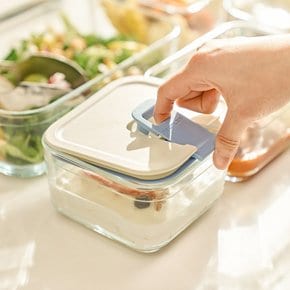 [비밀특가] 네오플램 퍼펙트씰M 유리 밀폐용기 진공 반찬통 냉동밥보관 용기 직사각 10종