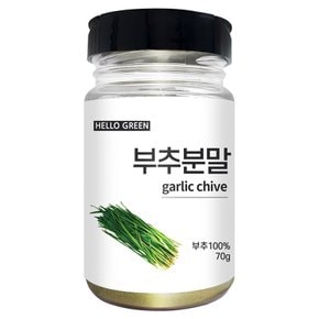 국산 부추 분말 가루 70g(통)