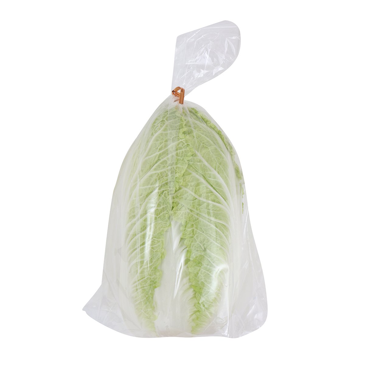 평택 알배기