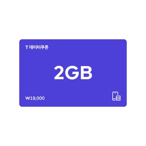 T 데이터쿠폰 2GB