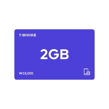 SKT T 데이터쿠폰 2GB