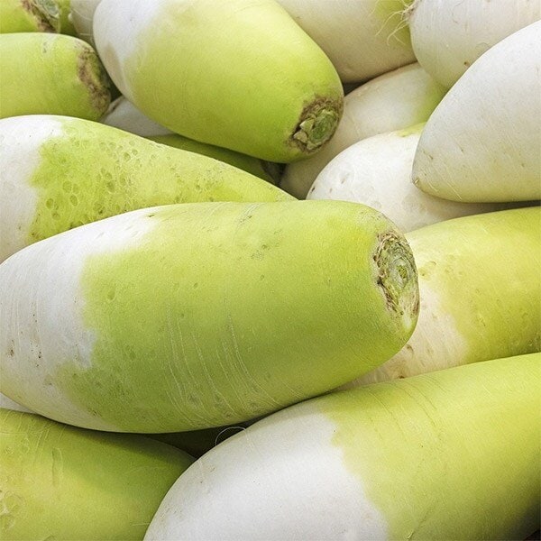 가정용 제주 세척 월동무 5kg