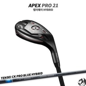 아펙스 프로 21 유틸리티 텐세이 CK 프로 블루 하이브리드 APEX PRO 21