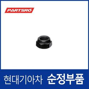 머플러 너트(1개) (2867921000) 그랜저/다이너스티, 그랜저XG, 그랜저TG, 마르샤, 베르나, 벨로스터, 쏘나타, 쏘나타EF, 쏘나타NF, 아반떼, 아반떼XD, 아반떼HD, 아토스, 에쿠스, 엑센트, 엘란트라, 제네시스, 클릭, 투스카니, 티뷰론, I30/I30CW,