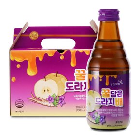 영진 꿀담은 도라지배 210ml x 8병 선물용