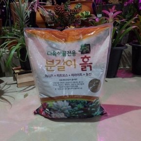 한성 묵직한 선인장/다육이 전용 분갈이 흙 약 10Kg_WA35521