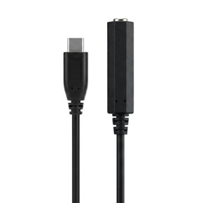 C타입 6.35mm 오디오 변환케이블 연장 컨버터 30cm / C to 6.35mm 스테레오