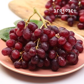 호주산 압도적인 맛 크런치팝 적색포도 2kg
