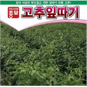 고추씨앗종자 고춧잎,고추잎따기 (100g)