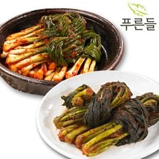 전라남도 함평김치 / 파김치 1kg + 여수갓김치 1kg