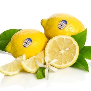 정품 팬시 레몬 20개입 총2.4kg (개당 121g내외)