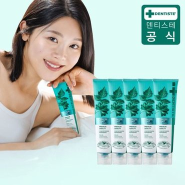 덴티스테 뉴브리즈민트 치약 180g×5개_