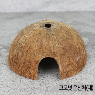 올블루 천연 코코넛 은신처(대) 햄스터 파충류 어항장식