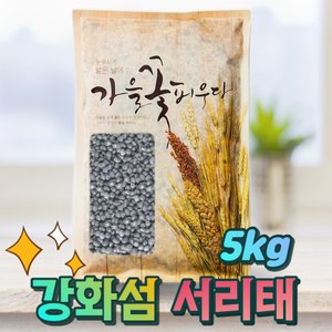 고인돌 국산서리태 서리태콩 건강잡곡 검정콩 서리태 5kg