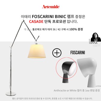 아르떼미데 공식판매처◈아르테미데  톨로메오 메가 테라 420  Artemide Tolomeo Mega Terra D420