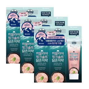 페리오 히말라야 핑크솔트 치약 아이스카밍 100g 9개