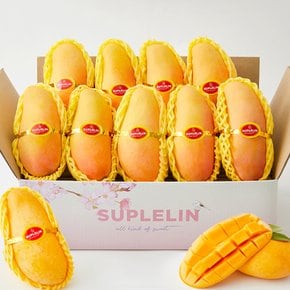 항공직송 고당도 무지개망고 마하차녹망고 3.6kg(8~9입)
