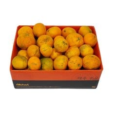 삼다몰 제주 못난이 신비향(수라향) 5kg