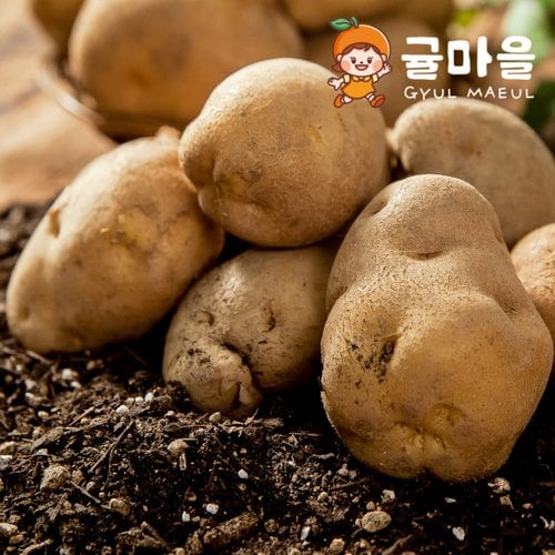 추가3이미지