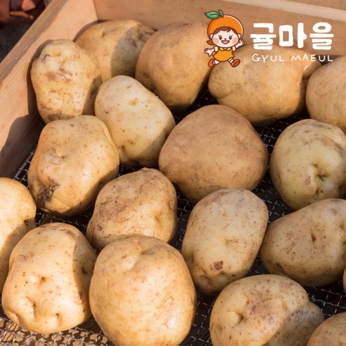 추가4이미지