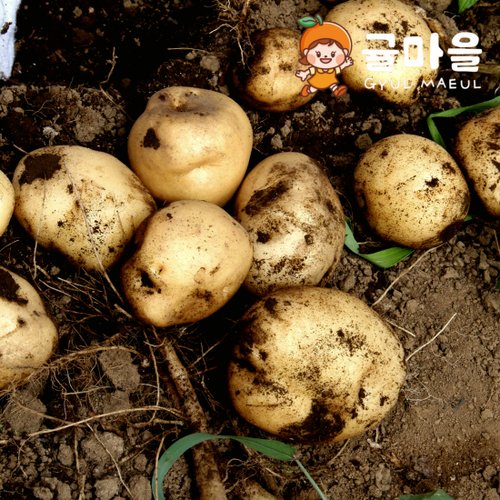 추가5이미지