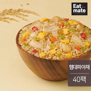 잇메이트 닭가슴살 몬스터 귀리볶음밥 햄대파야채 250g 40팩