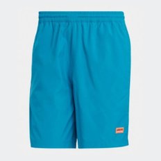 ADV WOVEN SHORT (AVD 우븐 쇼츠) (IC2287)