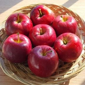 루비에스 미니사과 1kg 14-23과 내외
