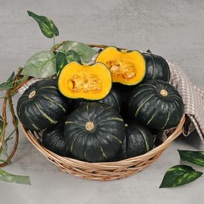 햇 제주 미니 밤호박 정품 1kg (2-5과)