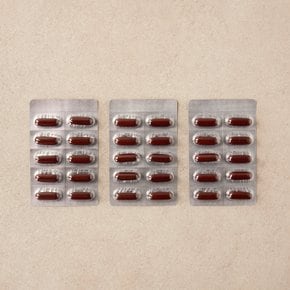 [리얼닥터] 간에 좋은 밀크씨슬에 플러스 30캡슐 (1개월분) / 간영양제