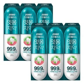 2080K 진지발리스 허벌민트 치약 120g X 6개