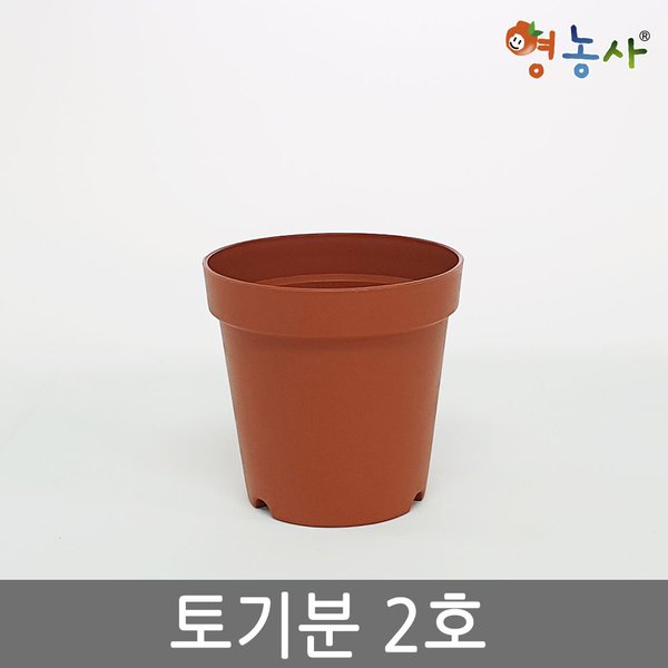 확대된 대표 대표이미지
