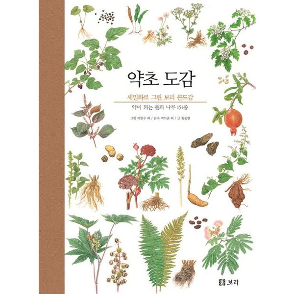 확대된 대표 default