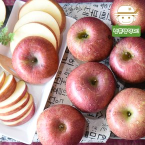 의성에서 보내드리는 꿀당도 사과(꼬마) 2.5kg