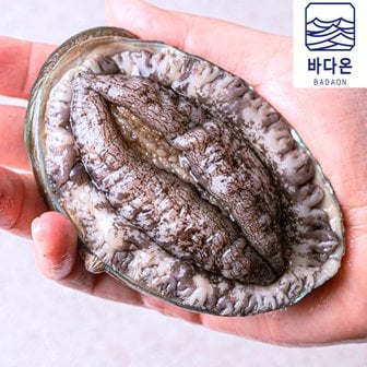 바다온 [9/12(목)오후3시이전주문 명절전출고]]완도활전복 14-16미 1kg(마리당62g내외) [산소팩, 무료배송]