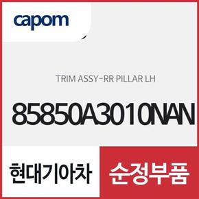 리어 필라 트림,좌측(운전석쪽) (85850A3010NAN) 레이