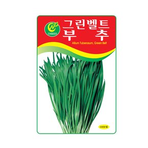 청농 부추씨앗 1000립