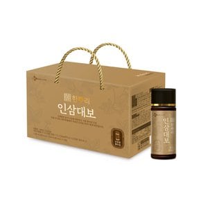 한뿌리 인삼대보 100ml x 10병 건강 선물세트